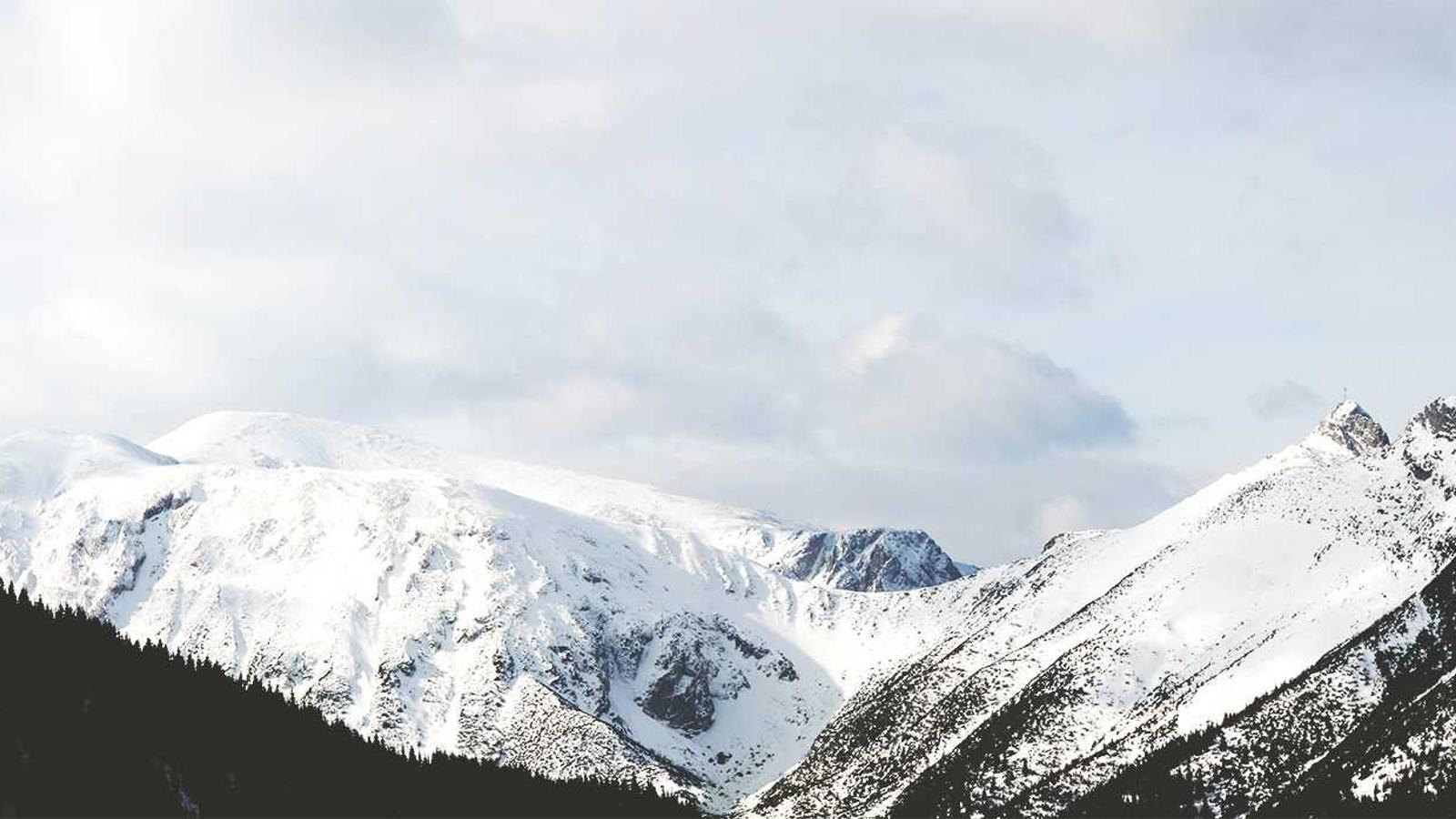 Luxury pool and outdoor living